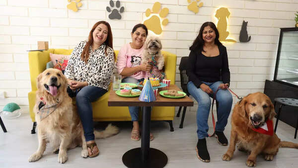The city’s pet parents are bonding like never before