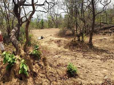Maoists, security forces exchange fire in Gadchiroli