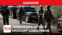 J&K: Terrorists hurl grenades at migrant workers, 1 dead 