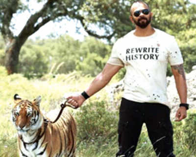 Rohit Shetty finds a co-star in a tiger