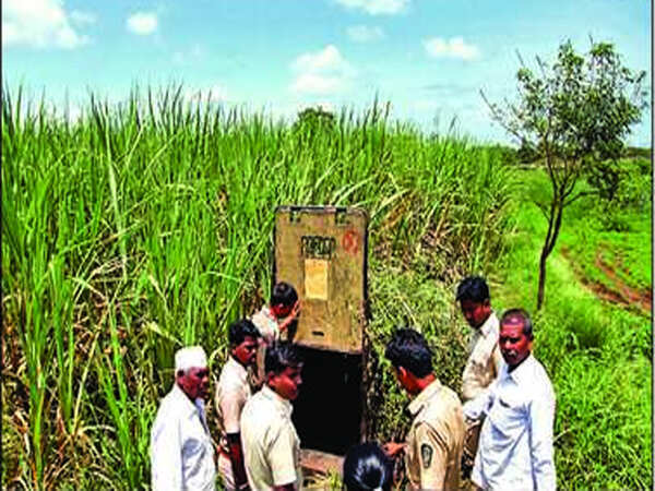 Leopard on prowl, attacks two villagers in Igatpuri