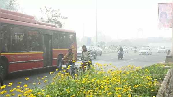 ​Photos: 5 NCR cities on India’s 10 most polluted list