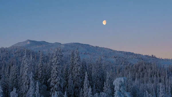 Snow Moon 2026: Full Moon Do's and Don'ts For Each Zodiac Sign
