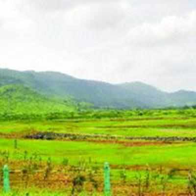 Cidco to petition afresh for deforesting land for developing 18-hole golf course