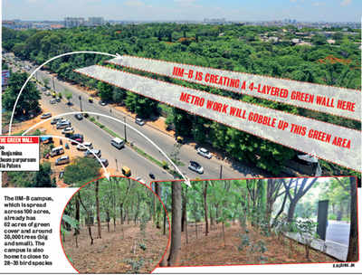 IIM-B’s foresight will keep it green while Metro ravages the road outside