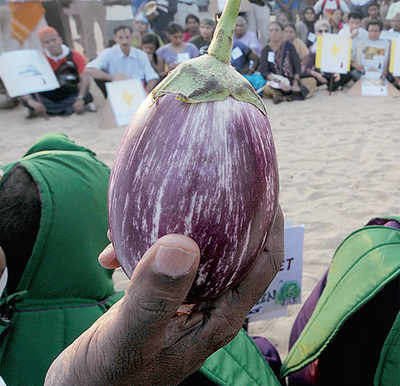 Brinjals for free...at the bus stand