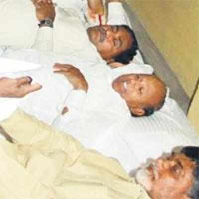 TDP makes itself at home in Assembly