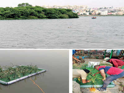 Islands of ‘hope’ at Madiwala Lake