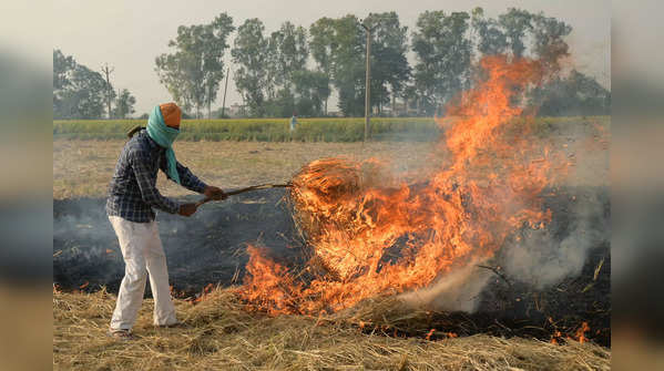 Crop burning in Punjab