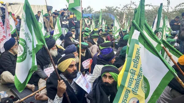 Punjab sees lowest farm suicides in decade, says NCRB report