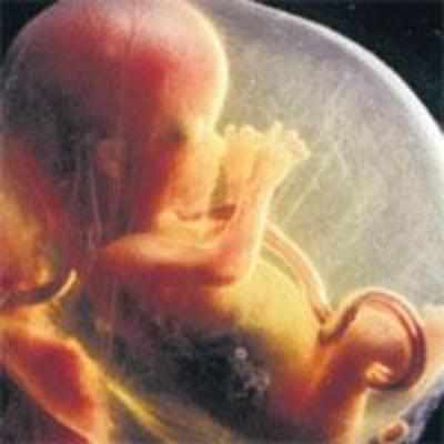 Unborn child is not a person: HC