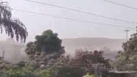 Watch: Swarm of locusts attacks Jaipur’s residential area 