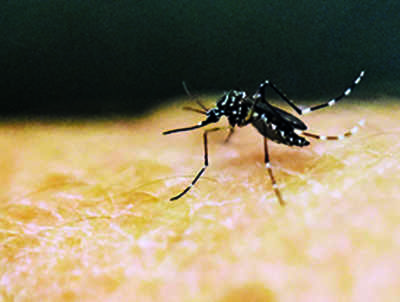 4 more Zika virus cases in Kerala, tally rises to 23