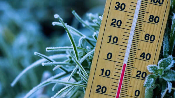 What’s the weather today: IMD warns of dense fog, cold waves as western disturbance brings rain and snow to north India