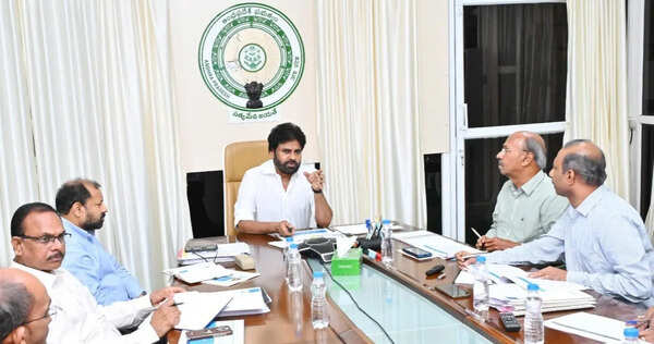Forest department to distribute 2.5 crore seed balls