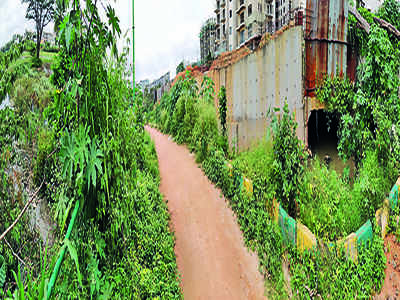 Lake revival worth Rs 5cr has gone to the weeds