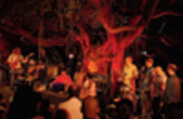 A musical evening in Bangalore