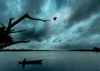 Positive Indian Ocean Dipole may offer late boost to monsoon despite El Ni&ntilde;o: Scientists