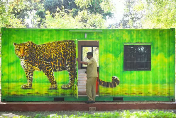 Cameras confirm leopard still within Pune airport boundary, forest officials now set traps near tunnels