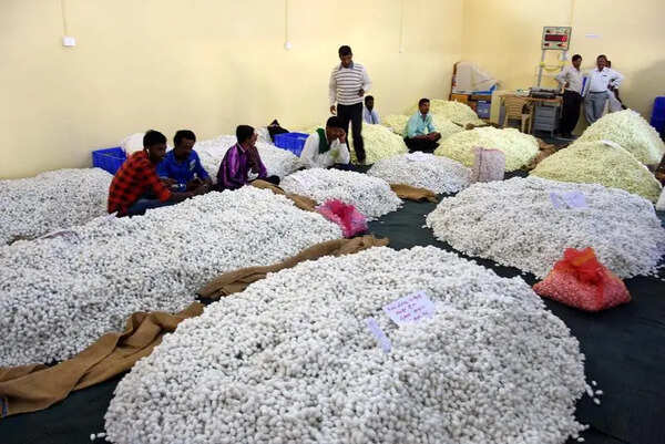 In Mysuru: Construction of permanent cocoon market begins in June