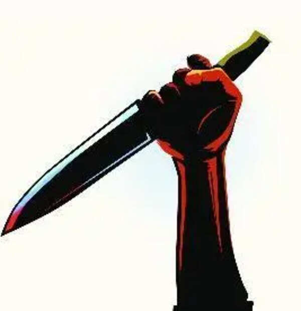 Man stabs elder brother to death in Idukki
