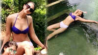 Vaani Kapoor sets mercury soaring in purple bikini! 