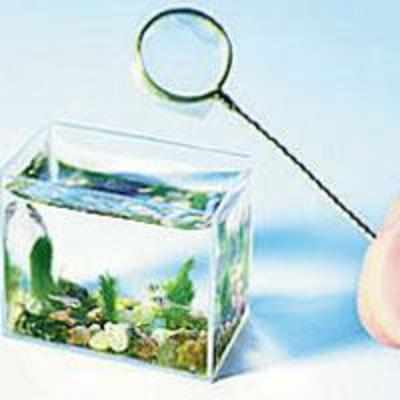 Man creates world's smallest aquarium