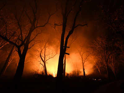 Massive fire in forest near Mount Abu, IAF chopper deployed to douse blaze