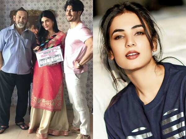 Sonal Chauhan is Vidyut Jammwal’s 'Chandramukhi'