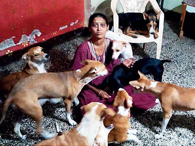Woman brings home 10 strays on lean pay