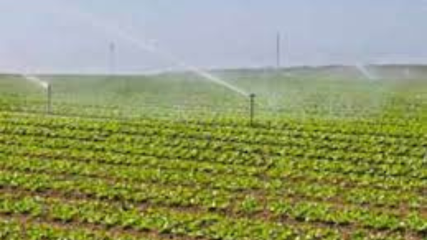 Odisha: Cabinet nod to Rs 2,500 crore worth irrigation projects