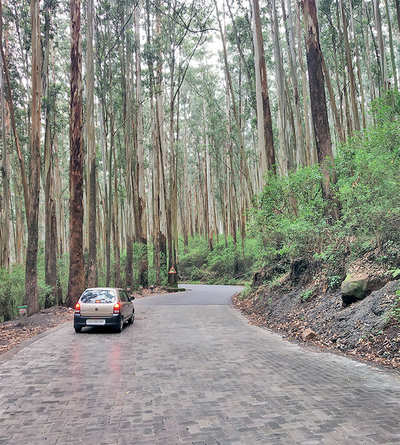 Twists and turns on road to Ooty