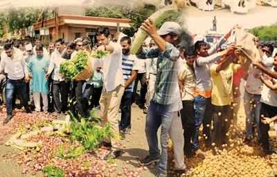 Farmers stir: After Madhya Pradesh and Maharashtra, Rajasthan farmers to stage protest to demand minimum support prices for farm produce