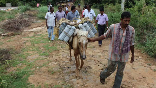 Tamil Nadu assembly election: It takes 3-hour trek for officials to reach Theni polling booth of 5 voters