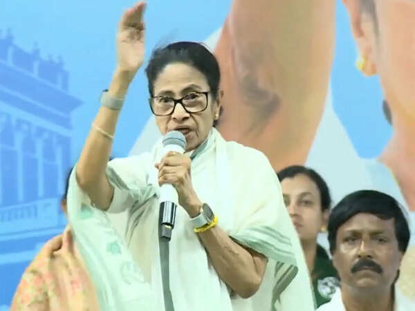 'BJP planning to plant bombs in Bengal': Mamata Banerjee's massive charge ahead of assembly poll