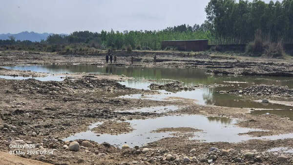 13yo killed in crocodile attack while bathing in pond