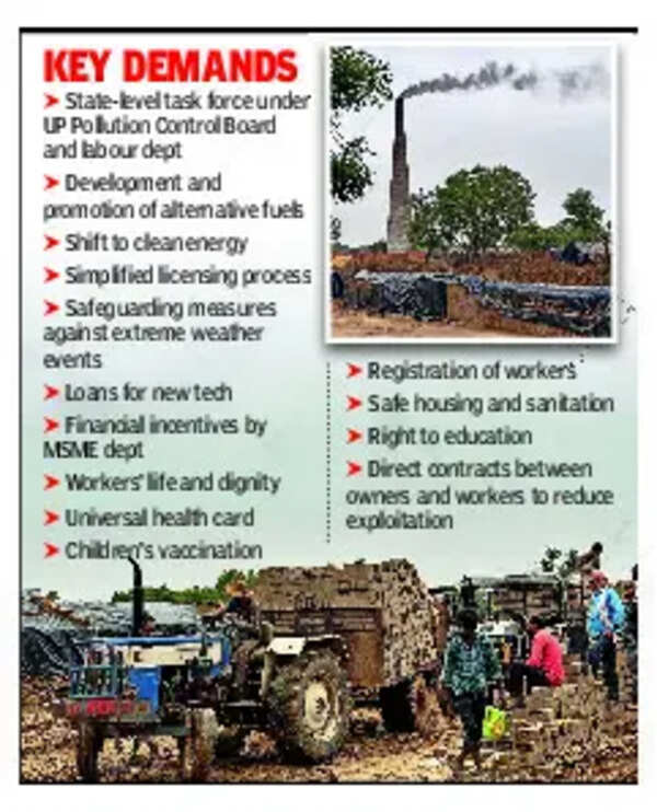 Brick kiln workers grapple with poor wages, harsh work conditions