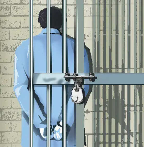Karate trainer gets 3 yrs in jail for showing porn videos to girl students