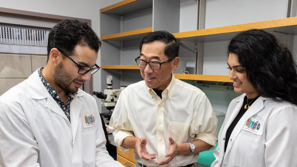 Stanford scientists cured Type 1 diabetes in a breakthrough experiment