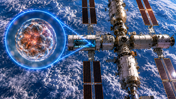 China just sent human artificial embryos into space, and the results could change humanity’s future