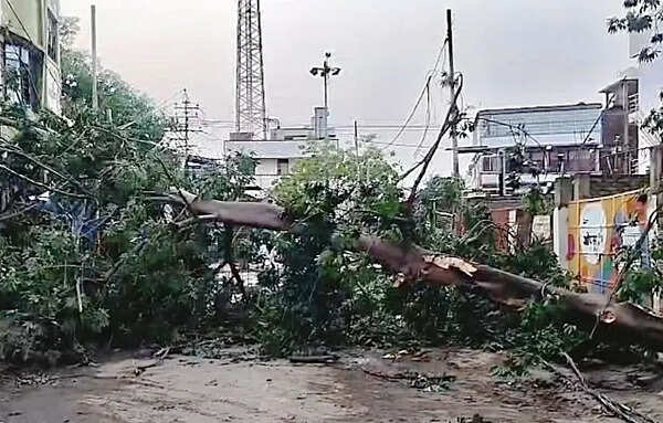 Storm hits power supply in Bhagalpur; grids under repair, water tankers deployed