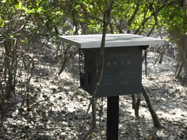 ‘Smart scarecrows’ in Sundarbans to keep tigers away from villages, check conflict