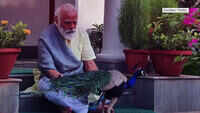 PM Narendra Modi posts video of him feeding peacocks 