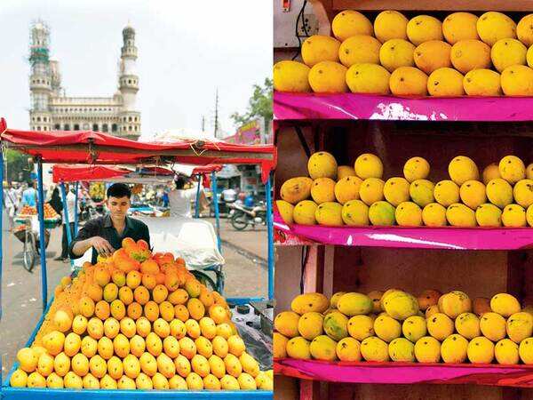 If they look too yellow to be true, those mangoes, aren’t too good for you!