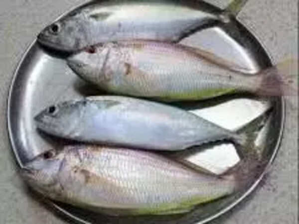 Fish prices go up as landing quantities dip at Kasimedu