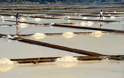 MMRDA assesses how much salt pan land can be used for housing