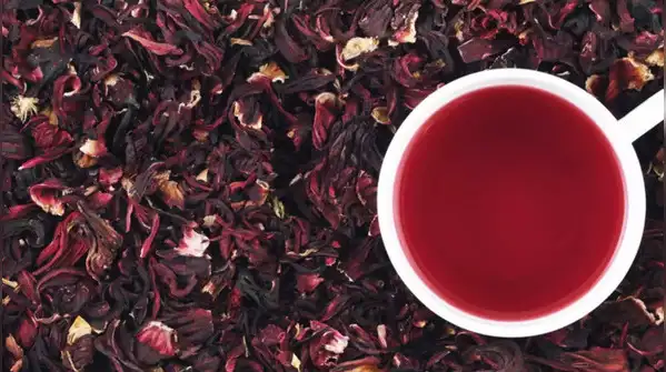 5 ancient herbal teas that can support liver health naturally