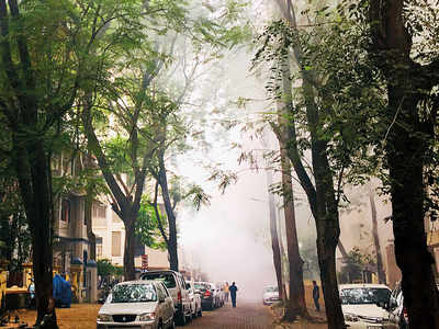 Mumbai Speaks: Fog of a different kind