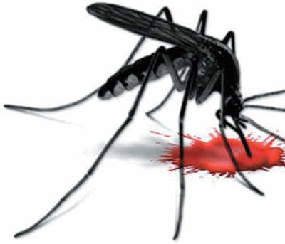 Dengue bites state, 895 cases so far