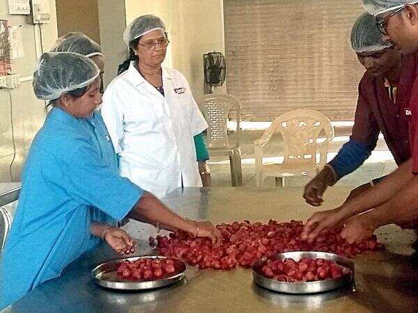 Farmer-turned-womanpreneur Ajita Nayak is a pathfinder of Navsari